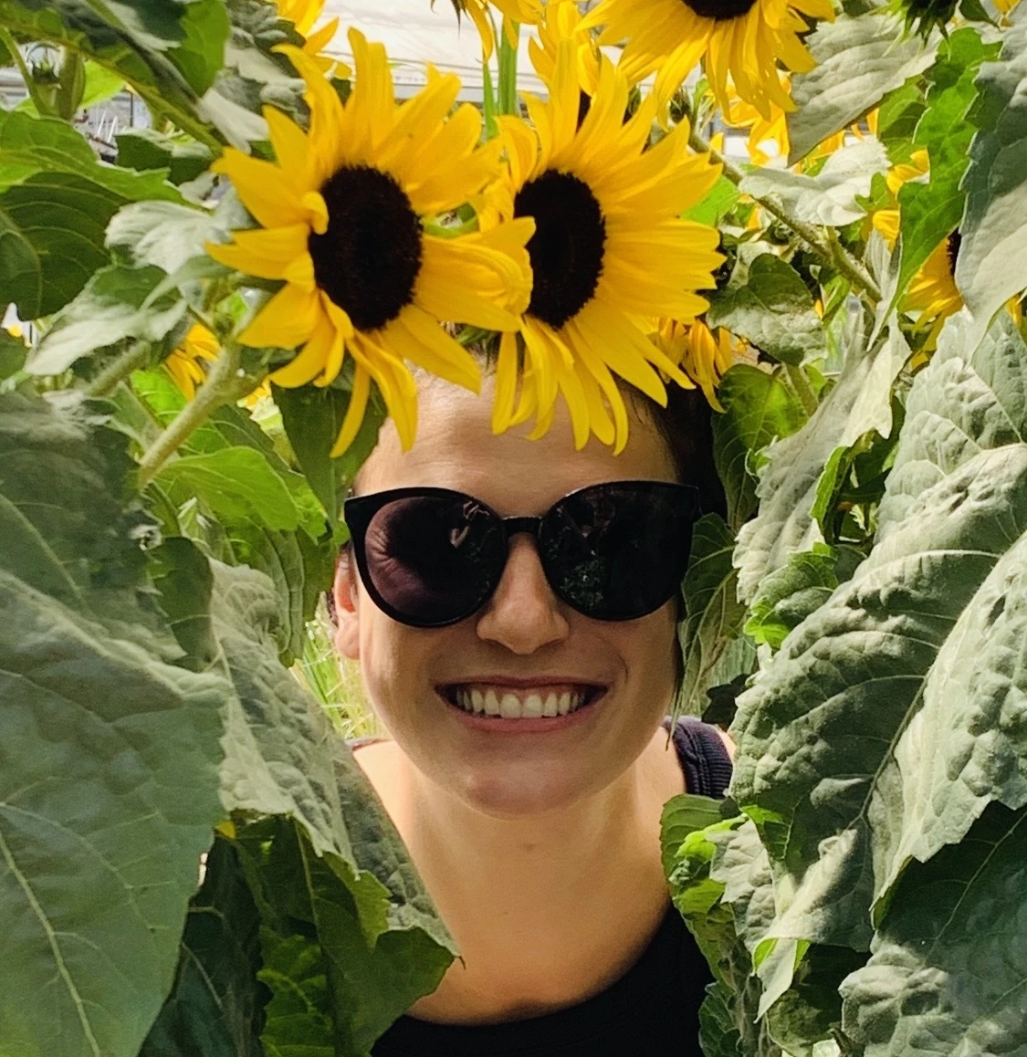 photo of emilie currie in sunflowers